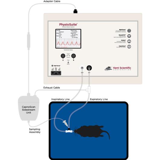 Kent Scientific PhysioSuite-capnoScan connection