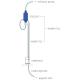 rat_continuous_infusion_scheme