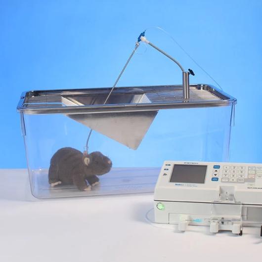rat_continuous_infusion2