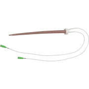 Model treningowy - żyła ogonowa szczura