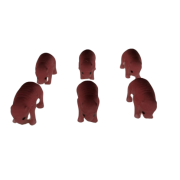 Modele noworodków myszy