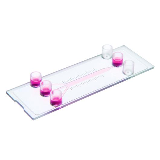 S_8031X_Slide_III_3in1_ibidi