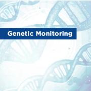 Monitoring genetyczny